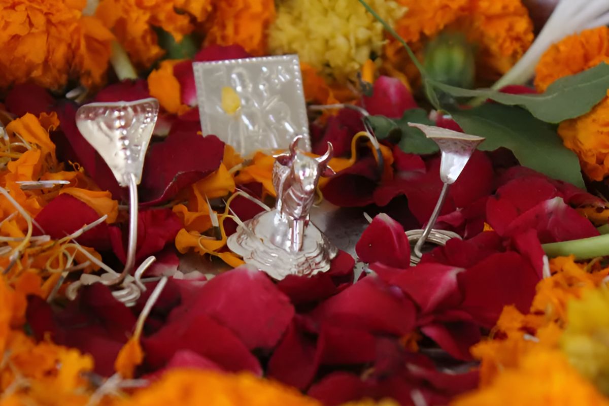 Pandit Arjun Guruji Trimbakeshwar Kaal Sarp Puja